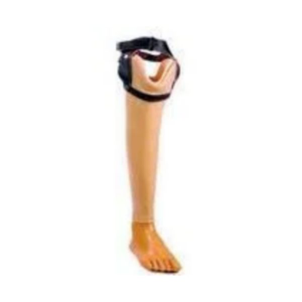 Jaipur Limb with Polypropylene Socket (Below Knee)